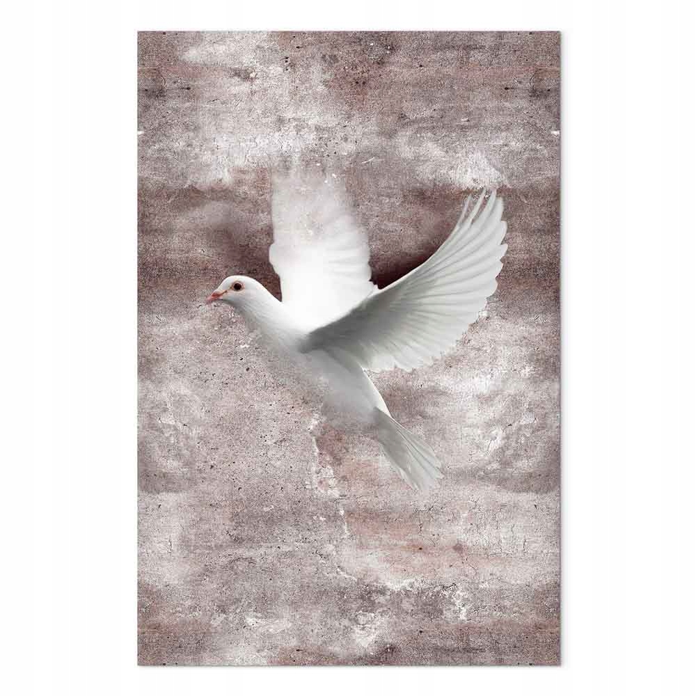 Obraz na plátně Stěna Beton Příroda Pták Bílý Holub Let 60x90 cm