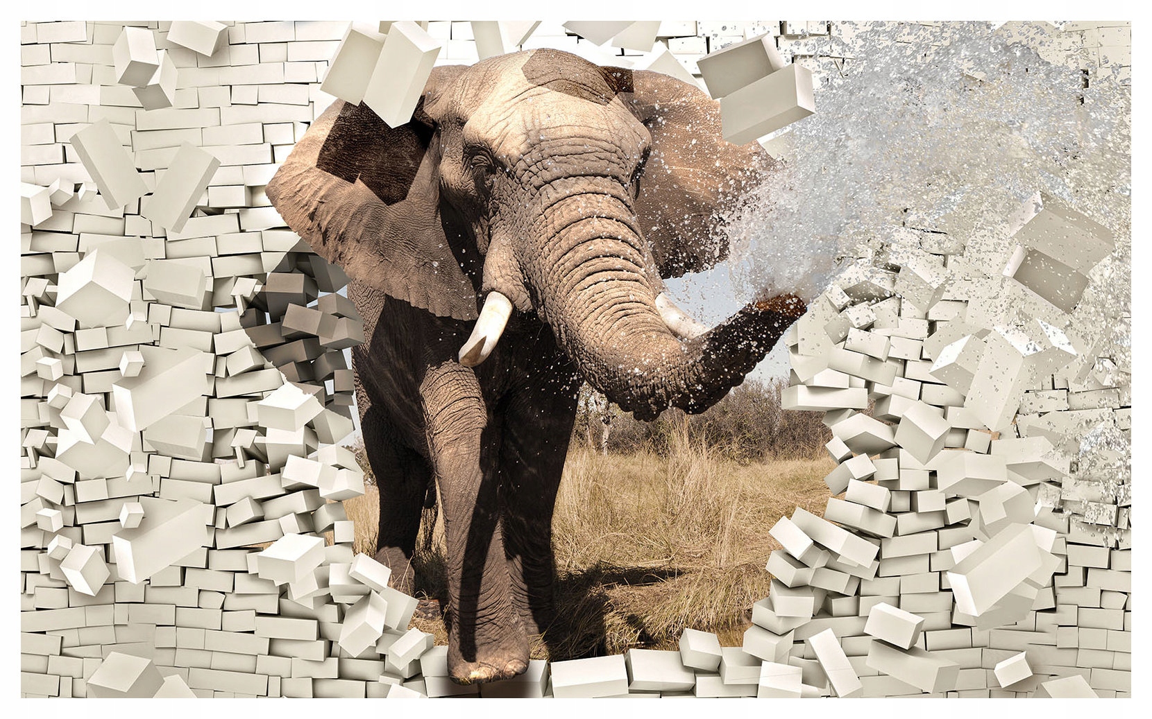 Fototapeta Slon africký savana iluze na zdi 208x146 lepidlo