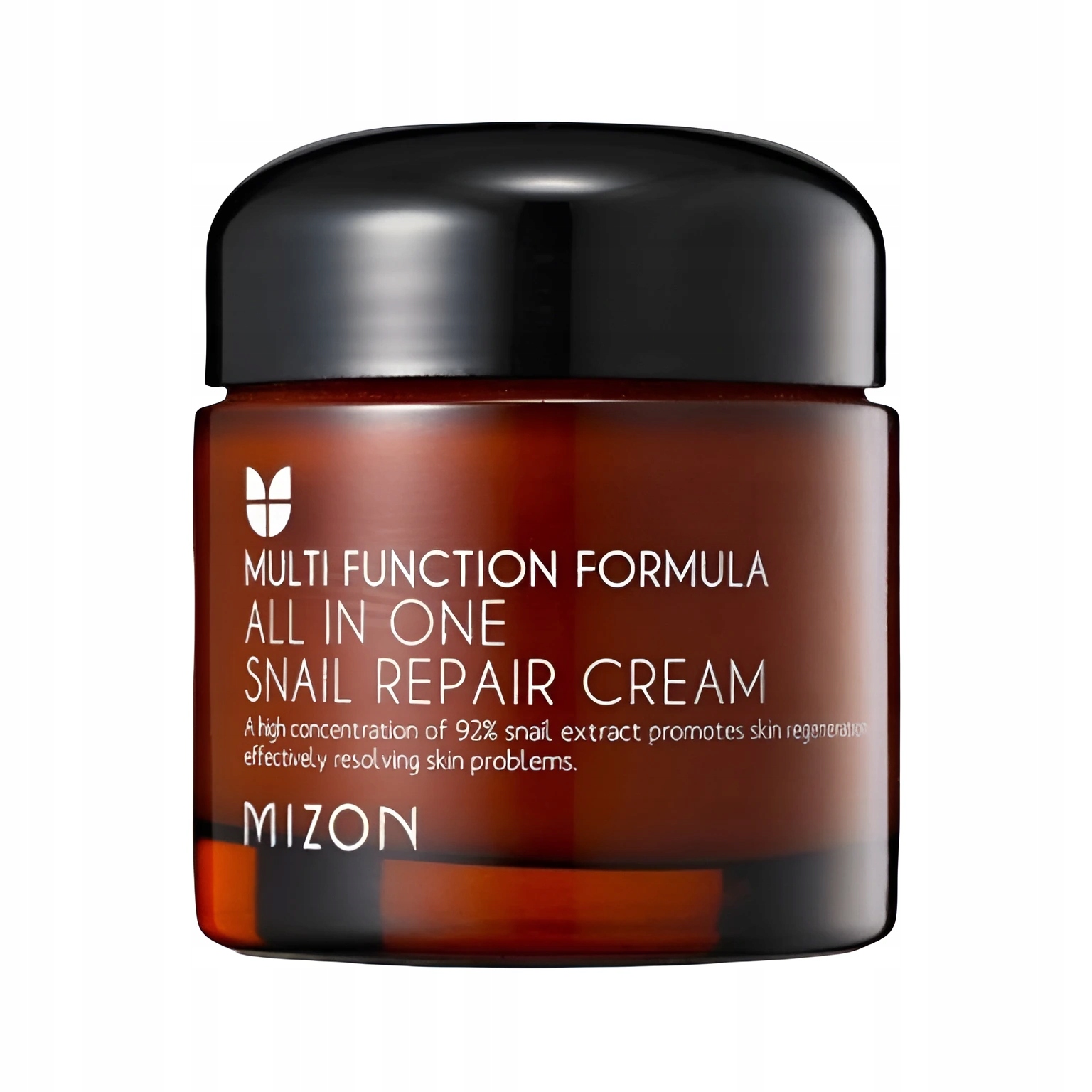 Mizon All In One Snail Repair Cream pleťový krém extraktem Objem: 120 ml
