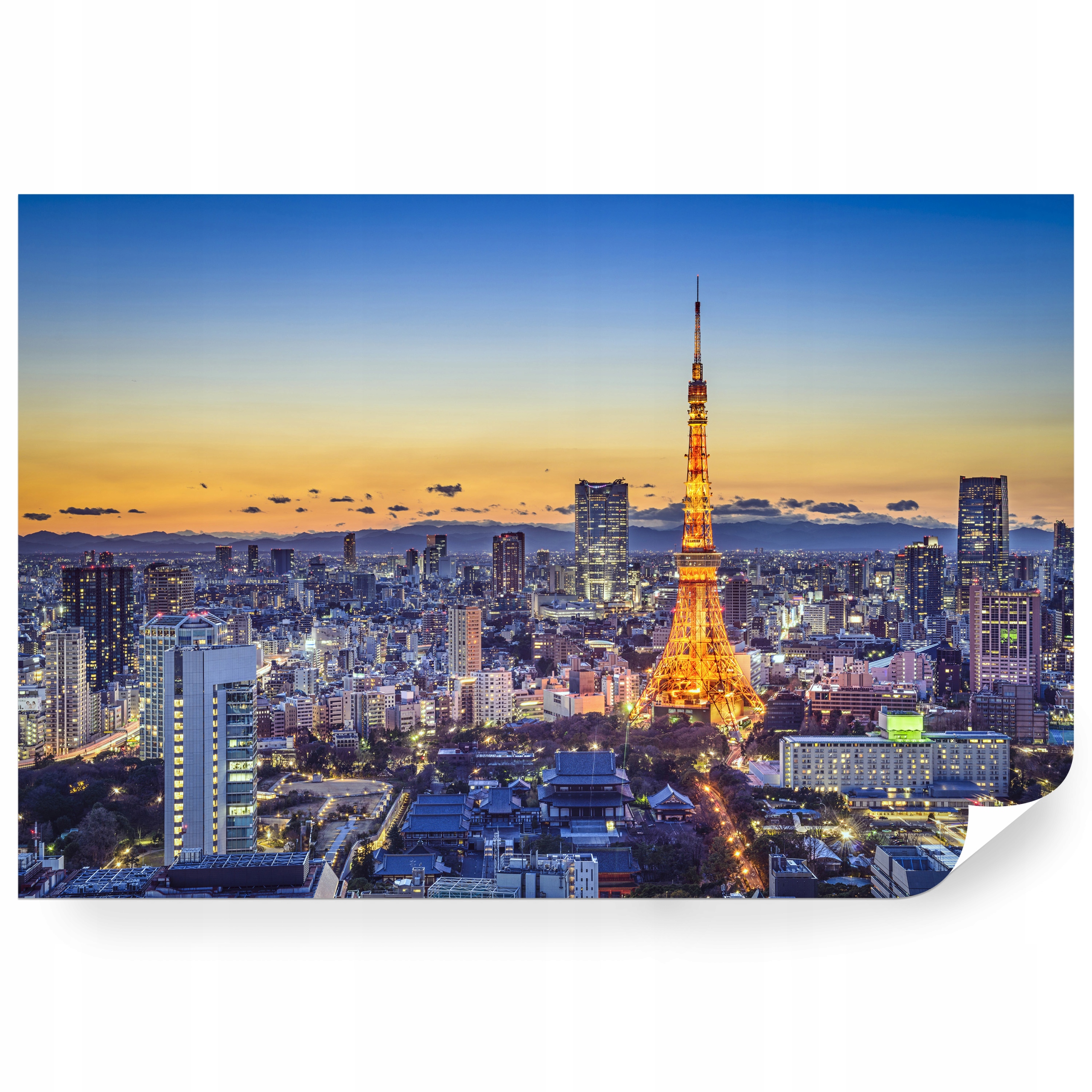 Samolepiaca fototapeta Panorama Tokio Japonsko 416 x 290 cm