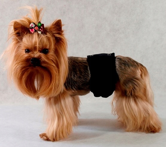 Levně Psí Kalhotky Pro Muže, Ochranné Na Inkontinenci, Černé, Velikost 4