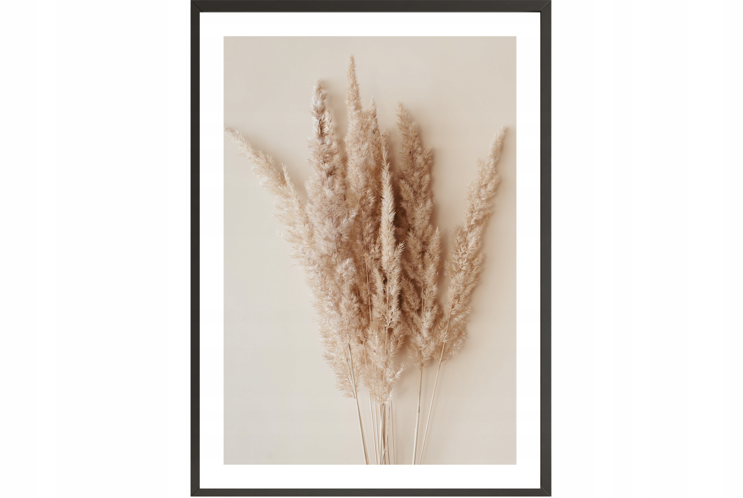 

Obraz plakat 70x50 trawa boho Wybór Wzorów