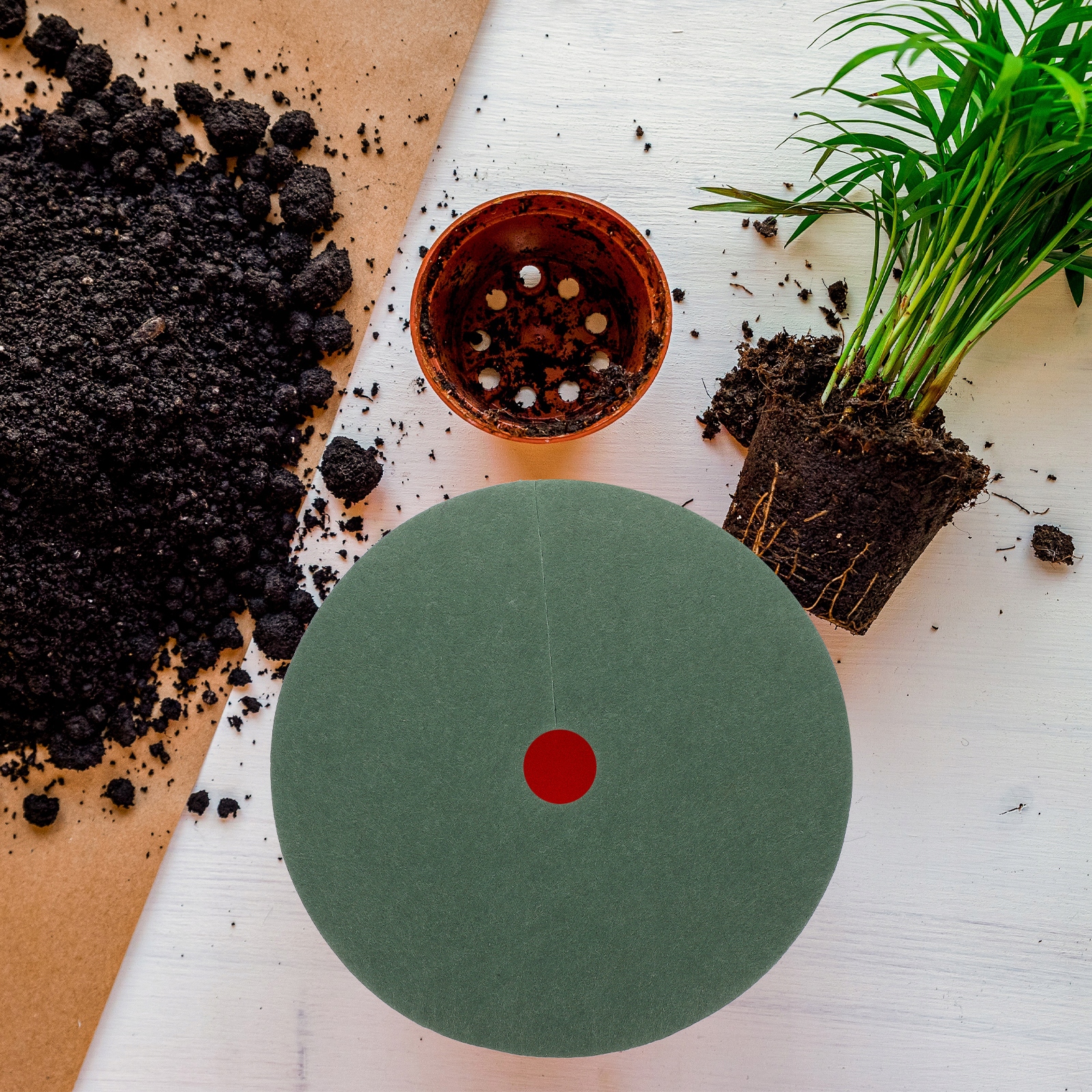 MATA OCHRONNA DRZEW ROŚLINA BARIEROWA KORZENI DRZEW 10 SZT Producent inna