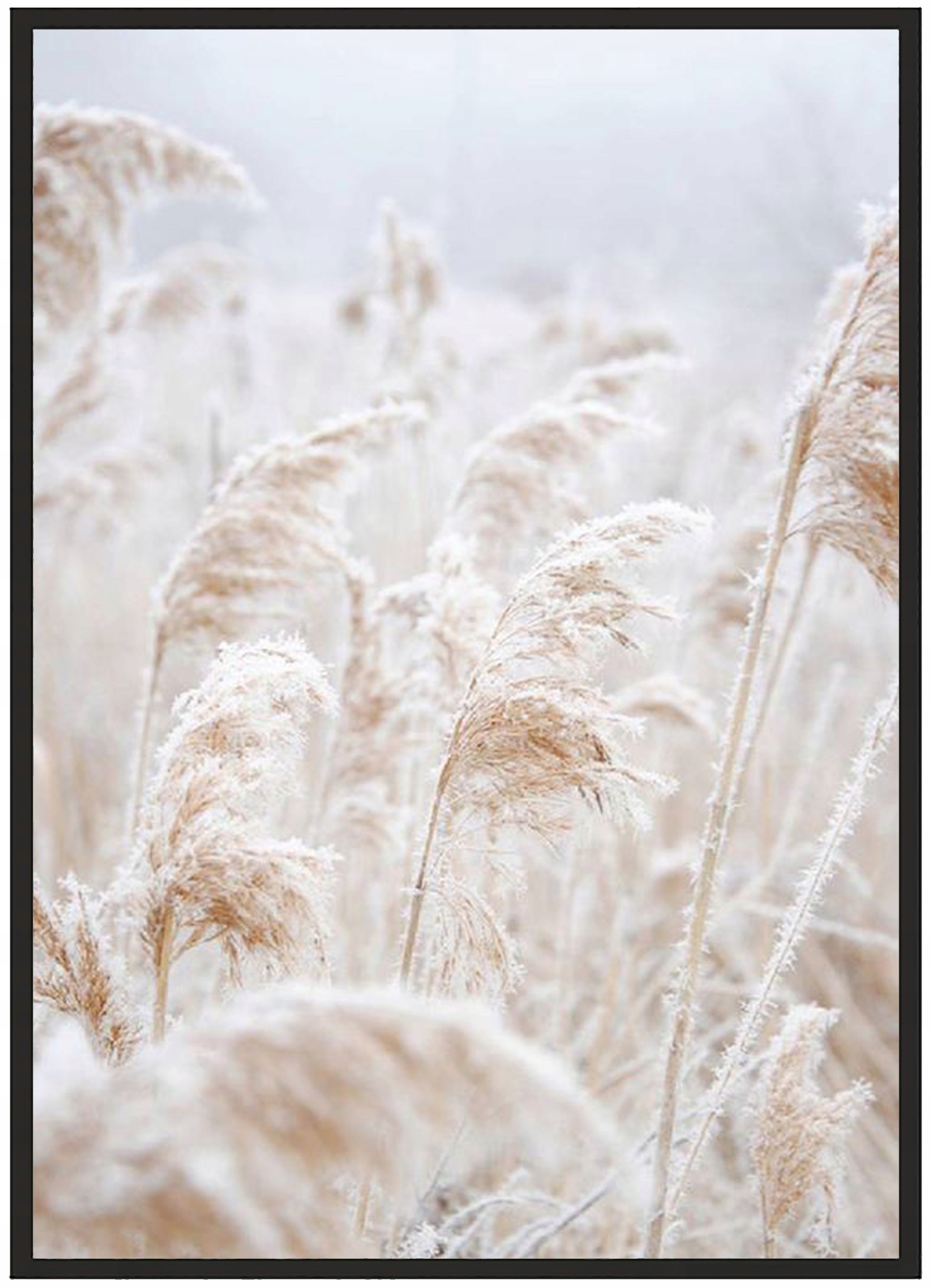

Plakat bez ramy A2 (40x50) Dużo Wzorów Trawa 05