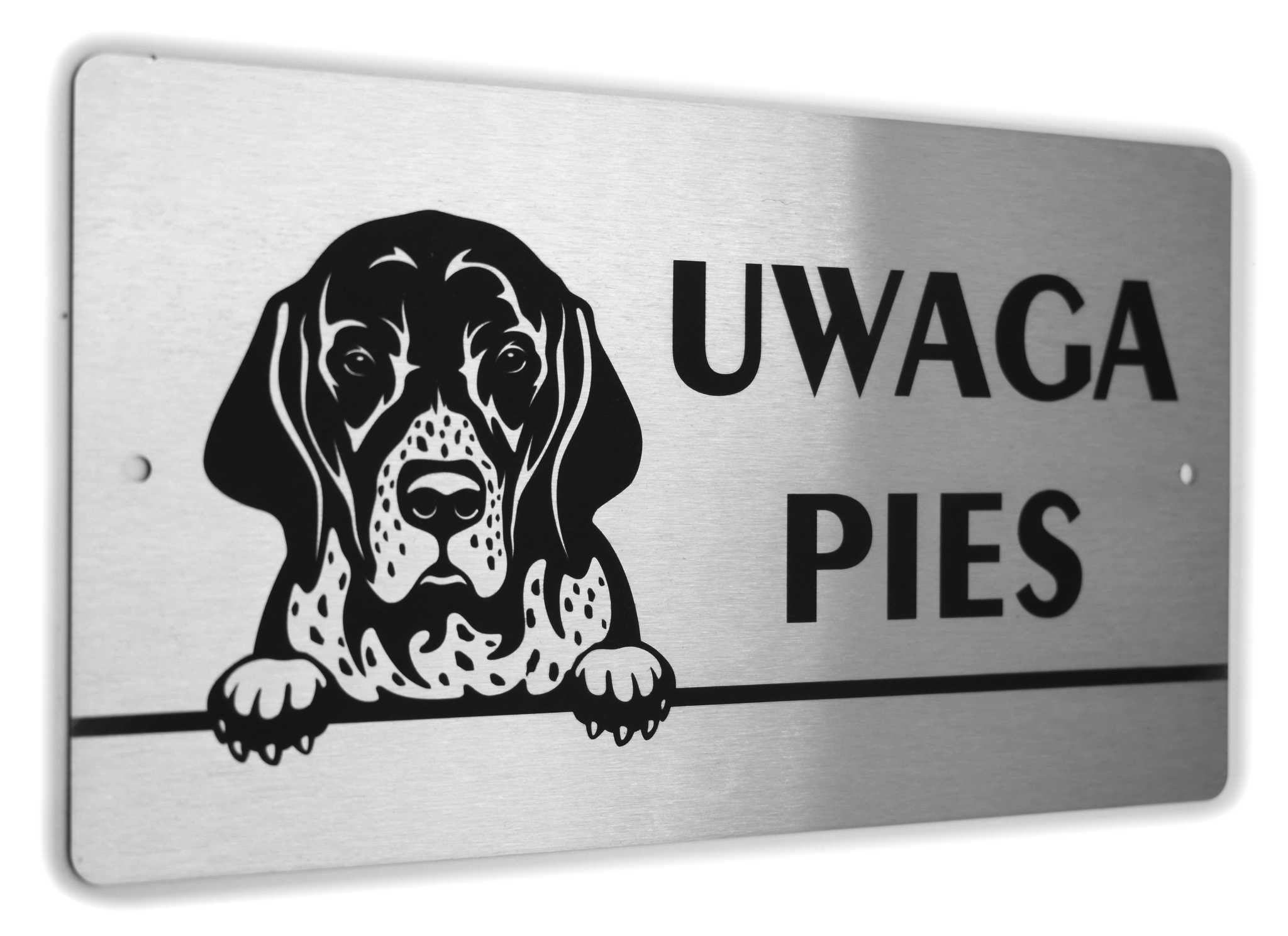 

Tabliczka Inox Uwaga Pies Pointer Wyżeł Angielski