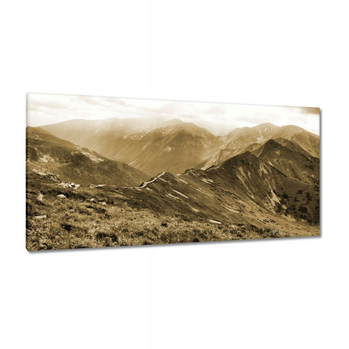 Obrazy 115x55 Tatry Polské hory Pohled