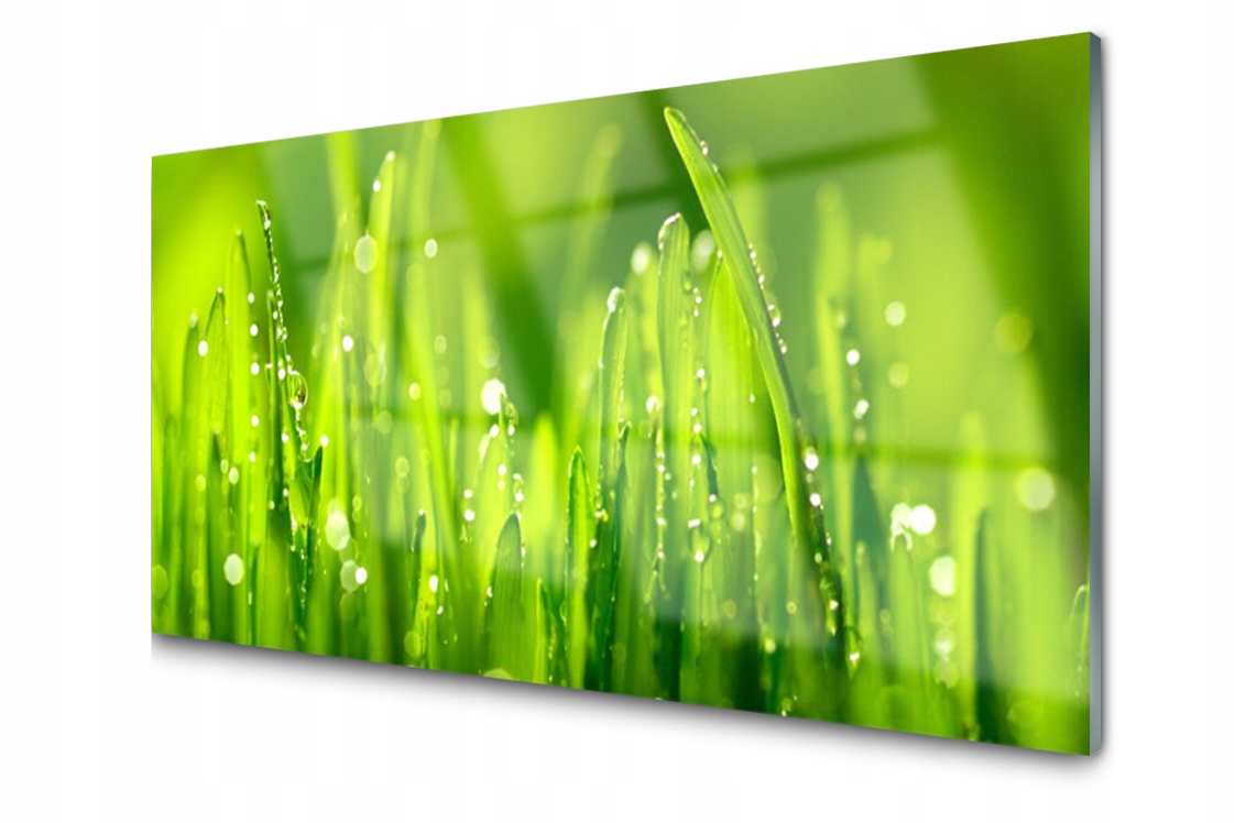 Sklenený panel Doska Tráva Kvapky 120x60 Lepidlo