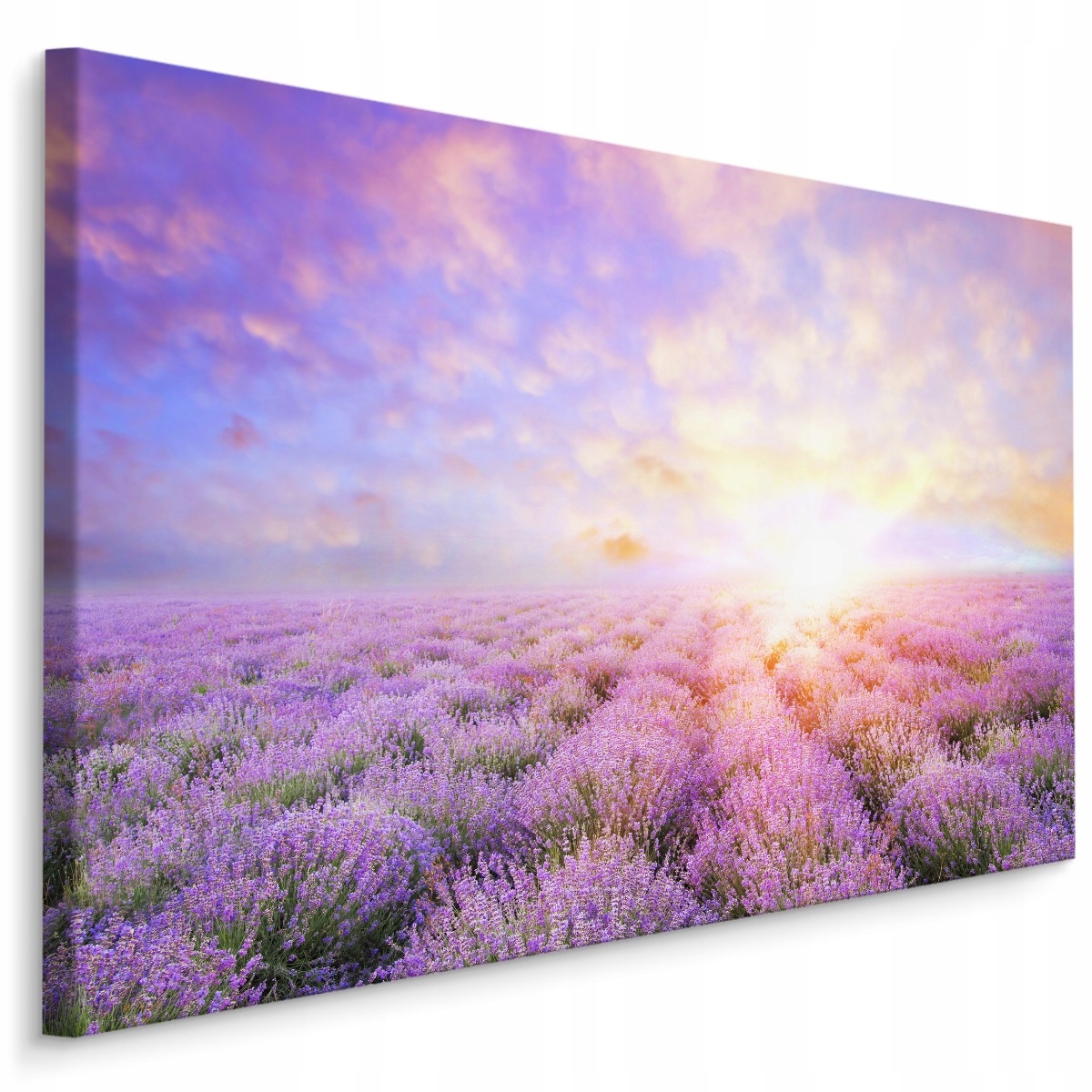

Obraz na Korytarz Pole Lawendy Krajobraz 3D 90x60