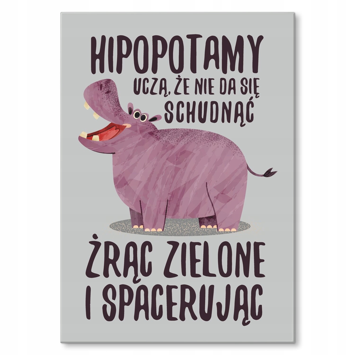 Kovový plakát Hroši učí Dárek 30 x 42 cm