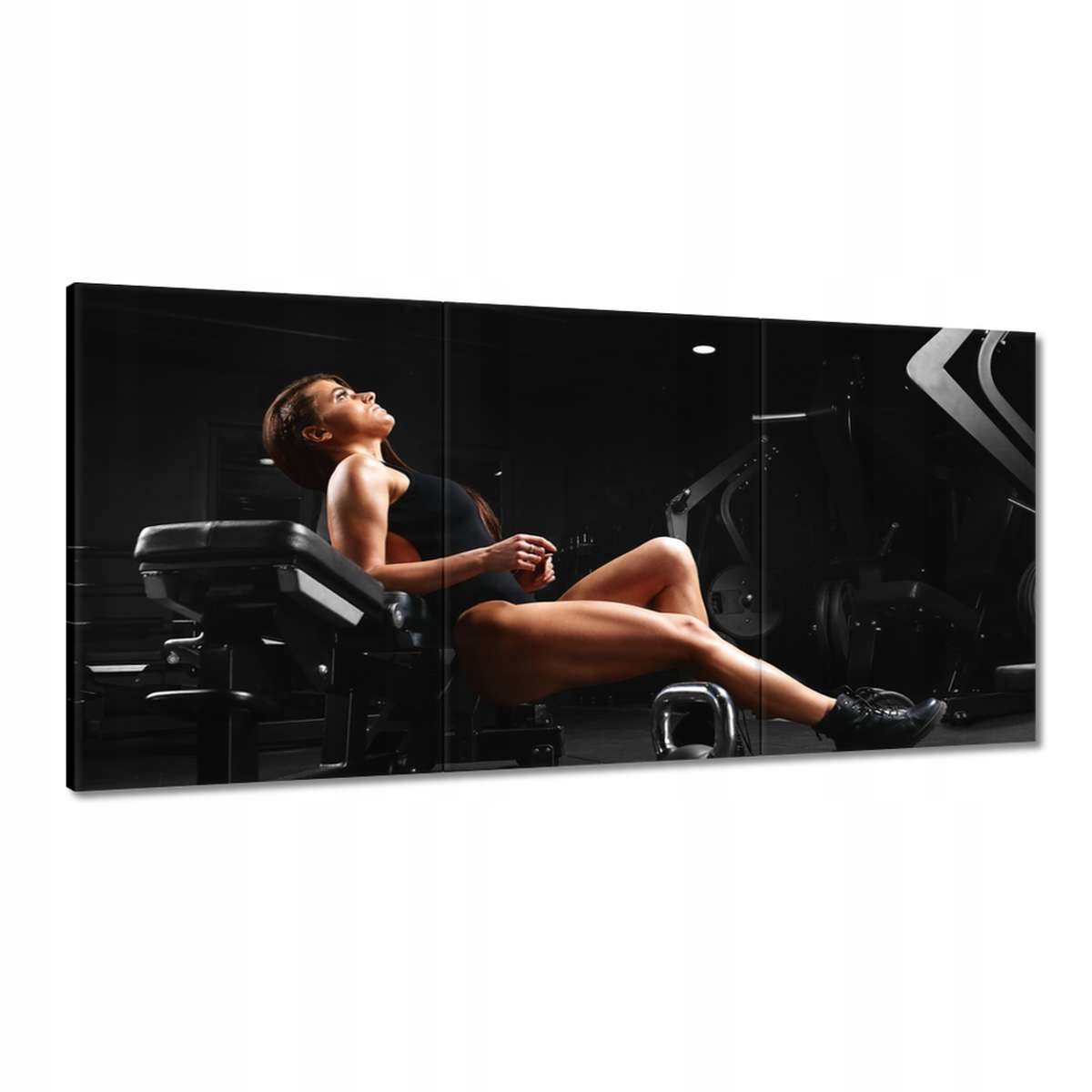 Obrazy 120x60 Stretching v posilovně