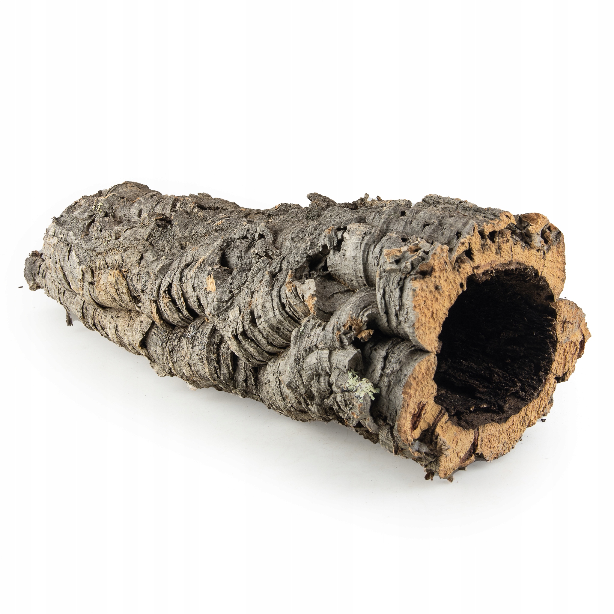 Levně Korková dubová kůra Přírodní Dekorativní pro Terárium Velký Exemplář 50x13cm