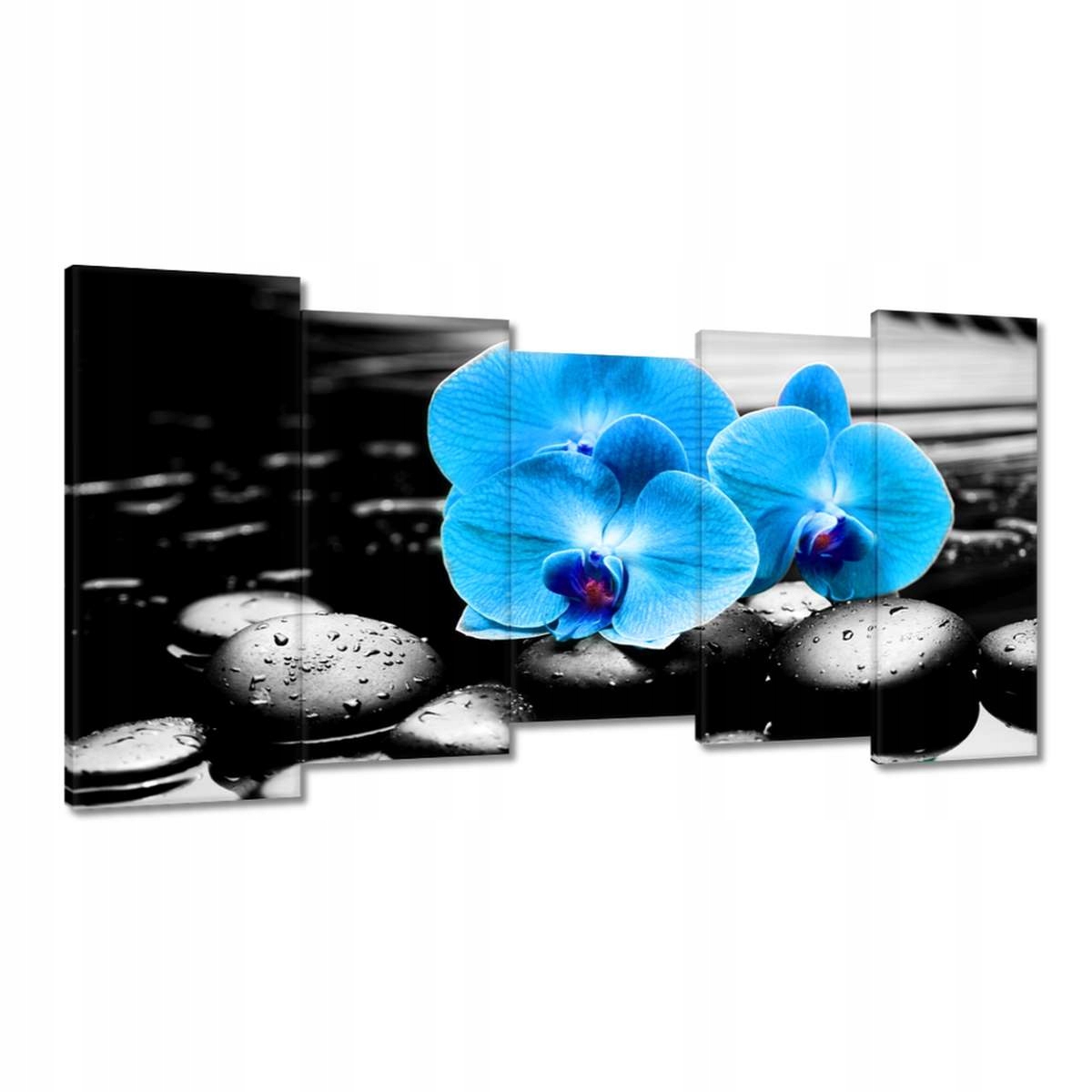 Obrazy 150x80 Tyrkysový orchidej Květina