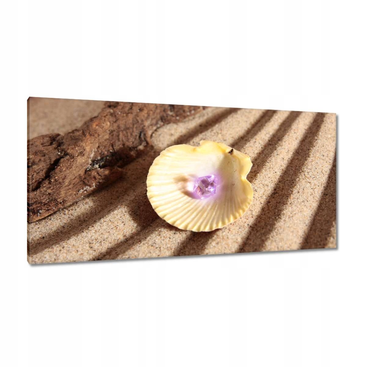 Obrazy 115x55 Mušle na pláži