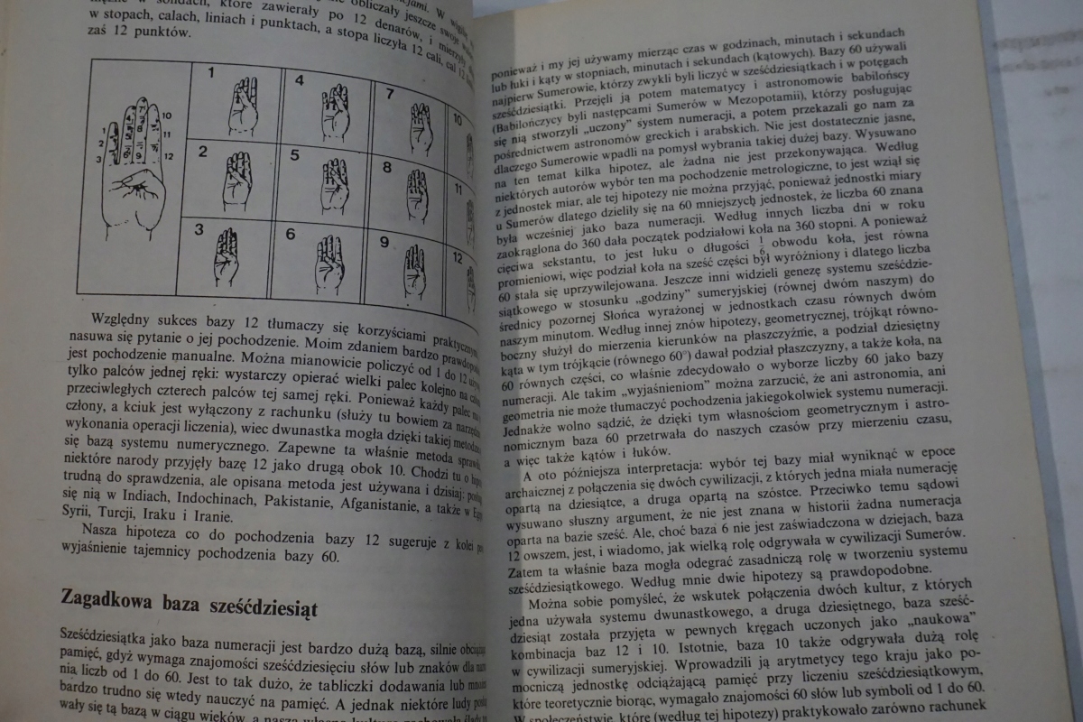 DZIEJE LICZBY CZYLI HISTORIA WIELKIEGO WYNALAZKU Okładka miękka