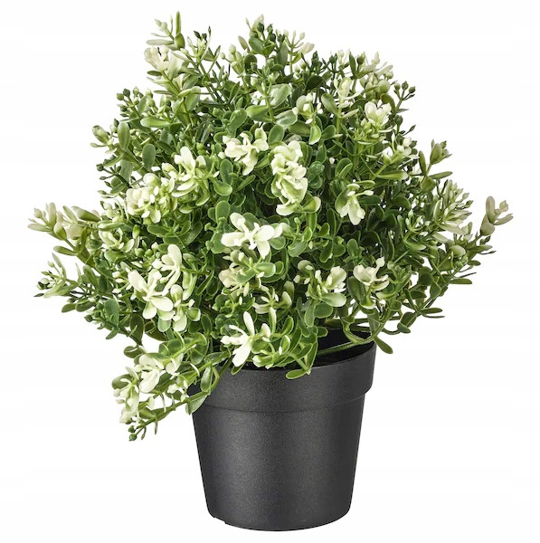 

Ikea sztuczna roślina Fejka tymianek w donicy 22cm