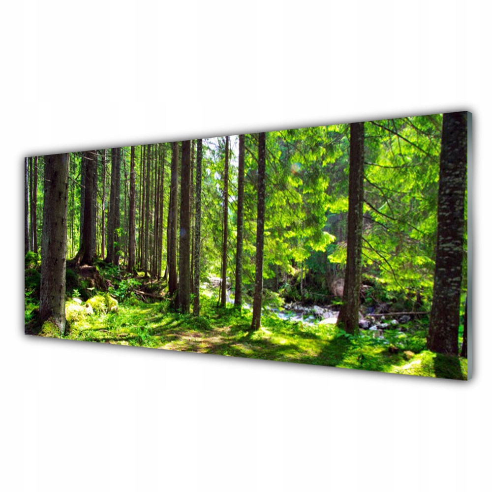 

Fotoobraz ścienny 125x50 Las Drzewa Roślina Natura