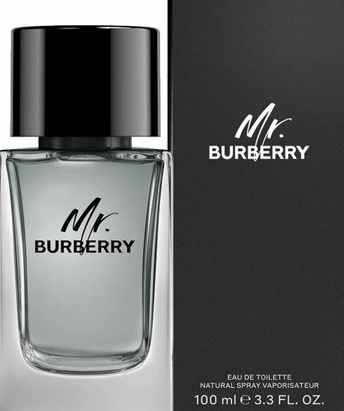 Burberry Mr. Burberry edt Pánská toaletní voda 100 ml