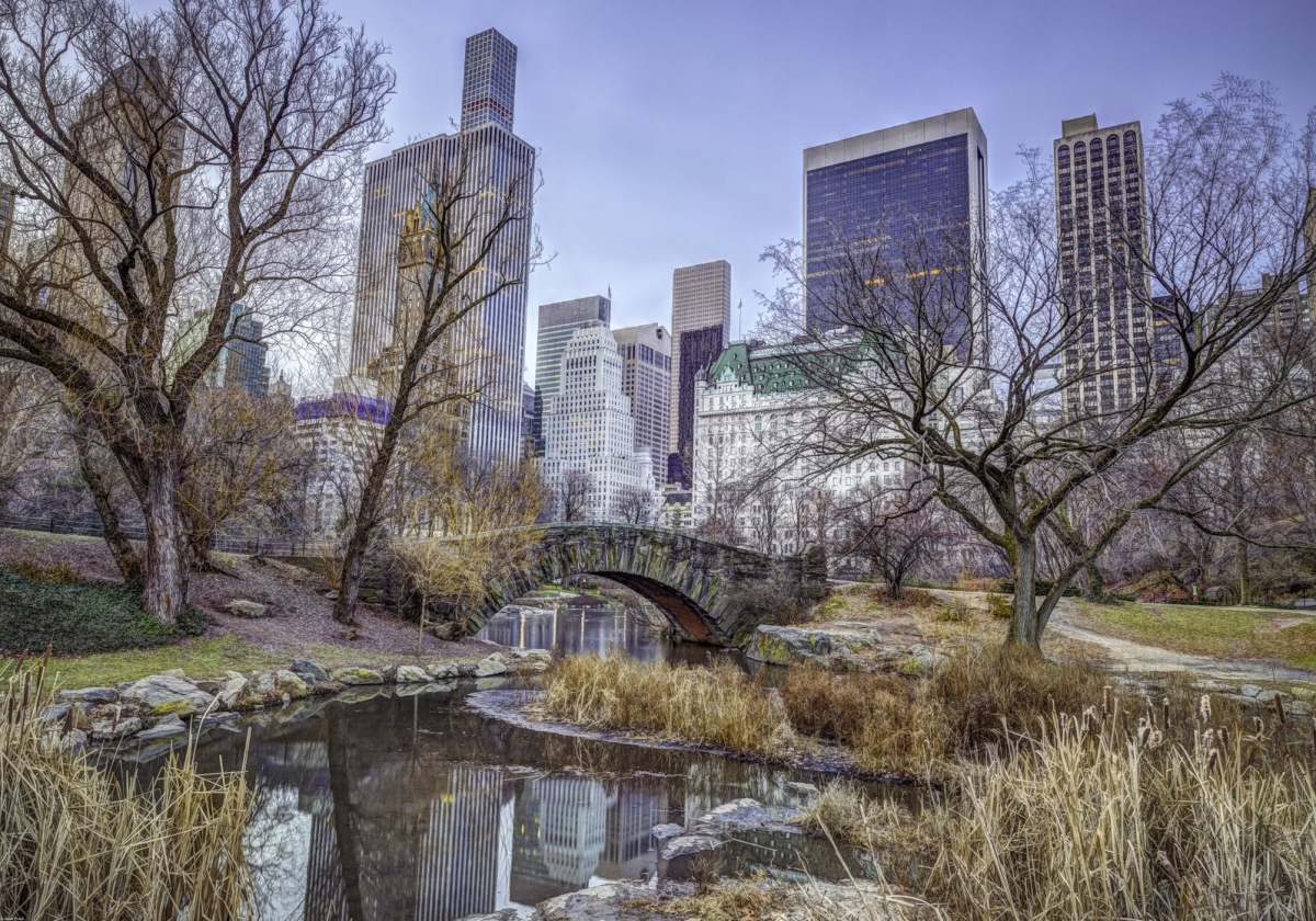 Plakát 100x70 cm Centrální park s panoramatem Manhattanu 2, Assaf Frank