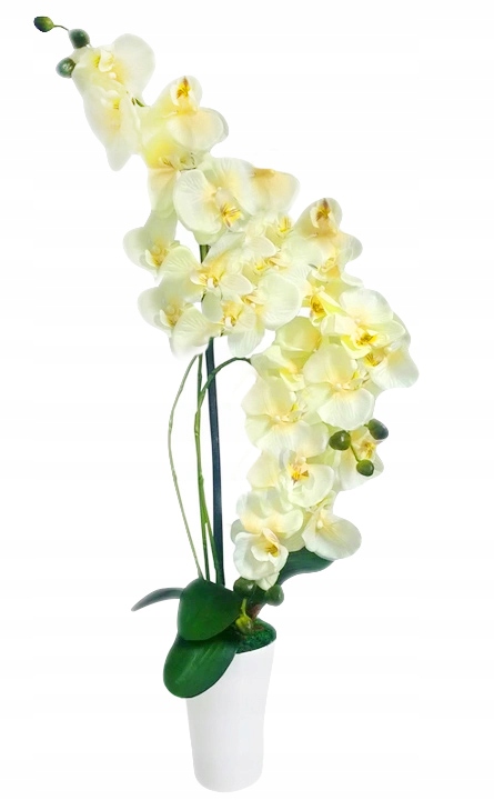 STORCZYK SZTUCZNY STORCZYKI KWIAT ORCHIDEA KOLORY