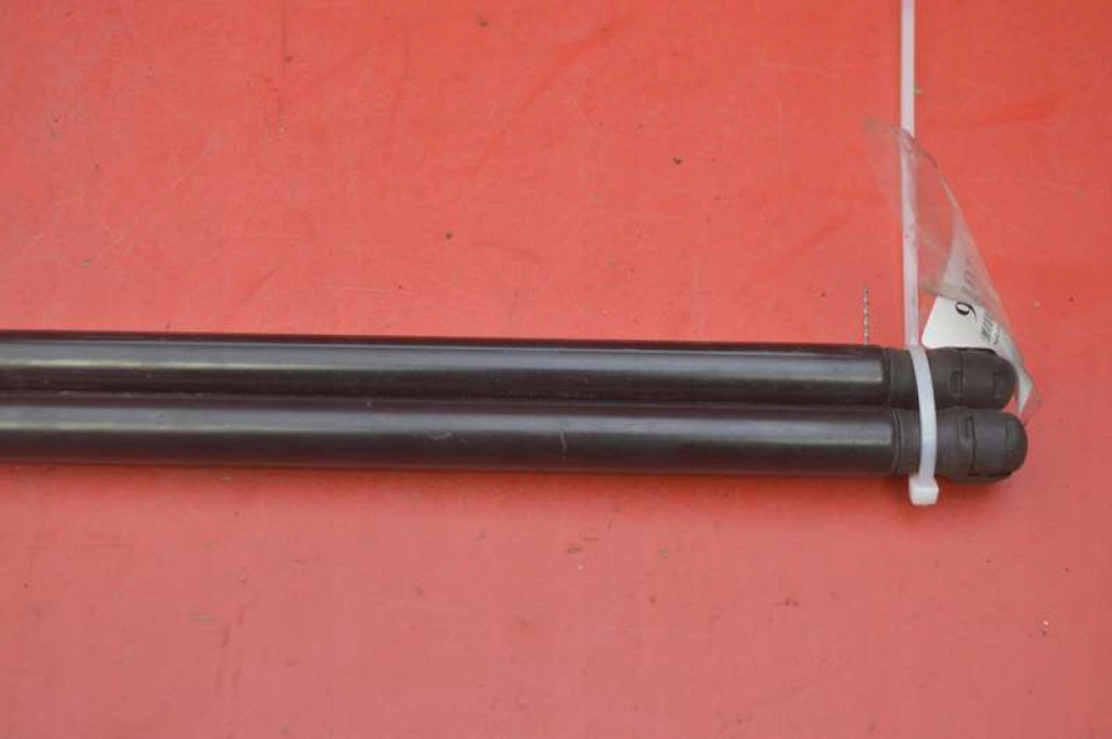 damper SILOWNIKI bonnets 1955050460N TESLA MODEL S 12-20