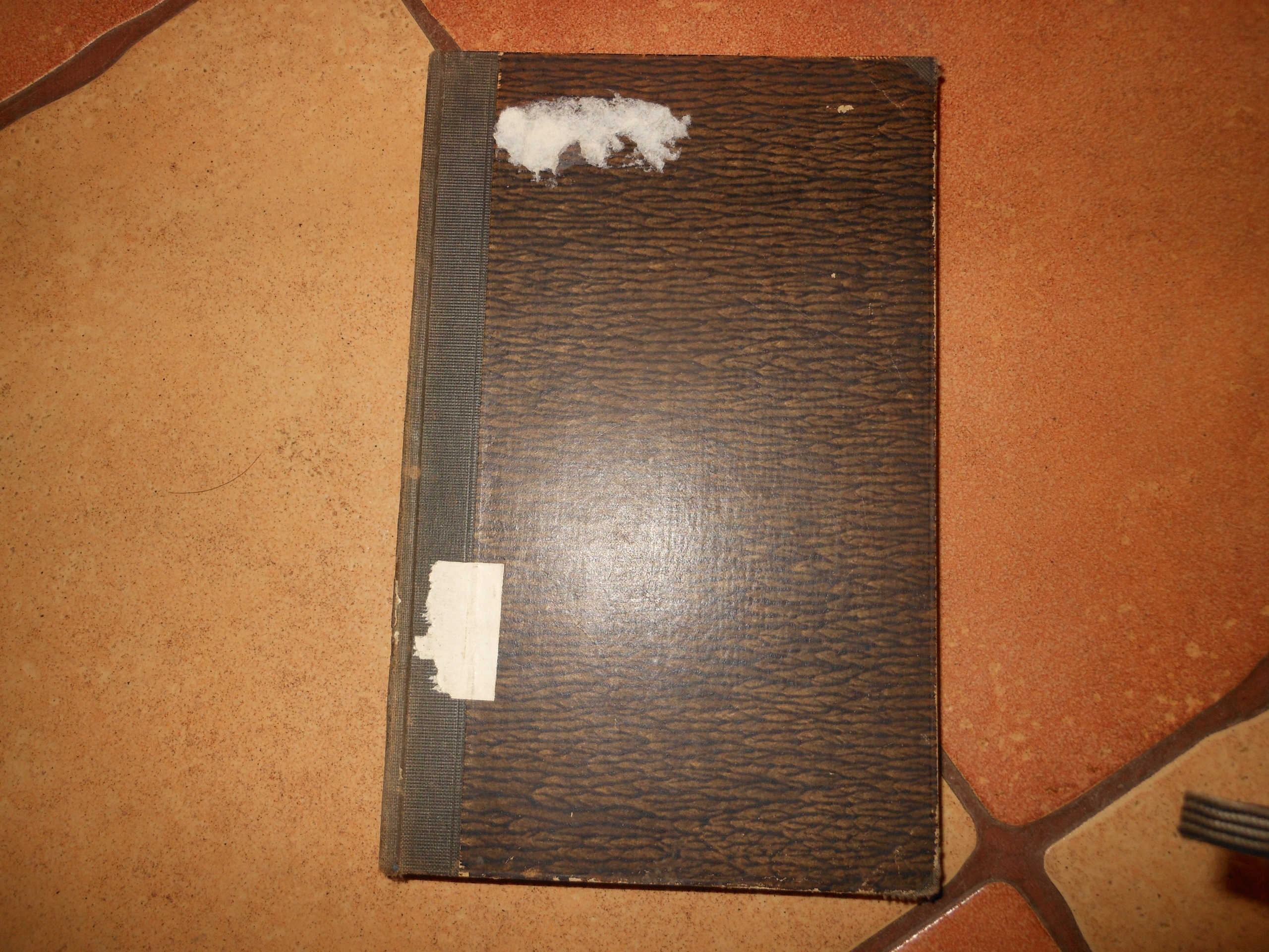 HERRLICHKEIT DER KINDER GOTTES