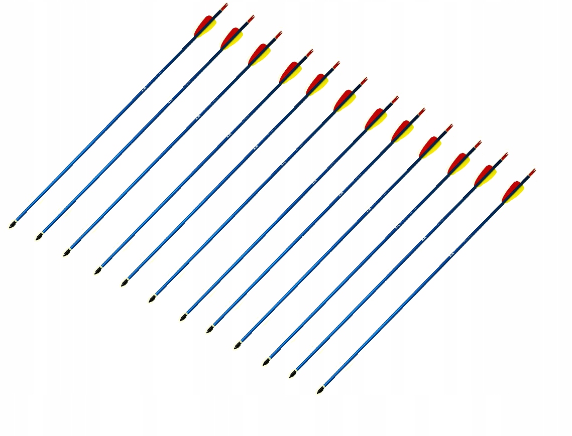 Střely do poklopu 12 ks lukostřelba délka 30'' 30 až 50 lbs kotoučové hroty