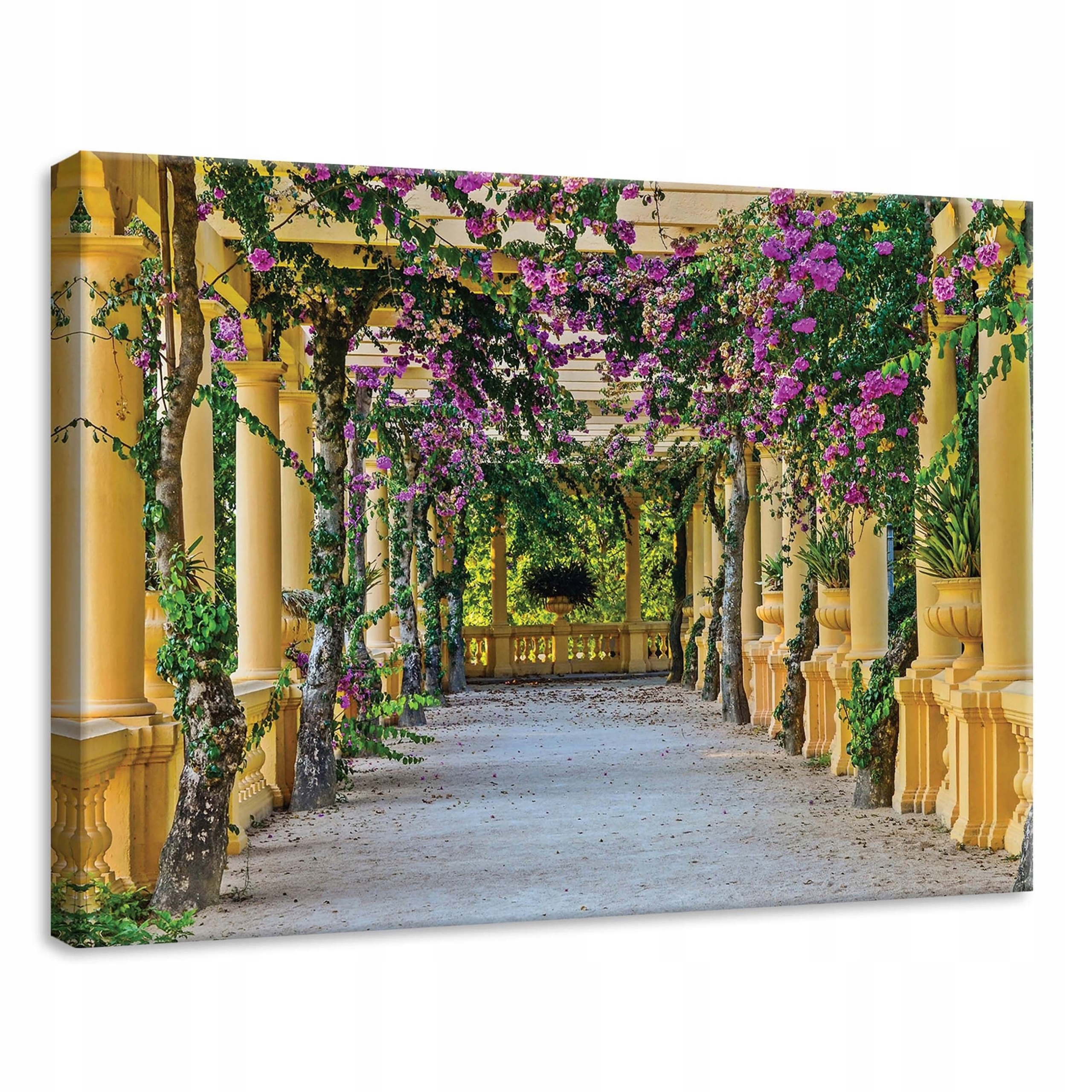Obraz 70x50 Květinový tunel arkáda sloupy bugenwilla zeleň cesta klid