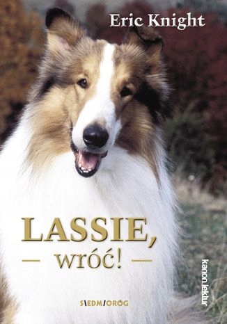 Lassie, wróć! Tytuł Lassie, wróć!