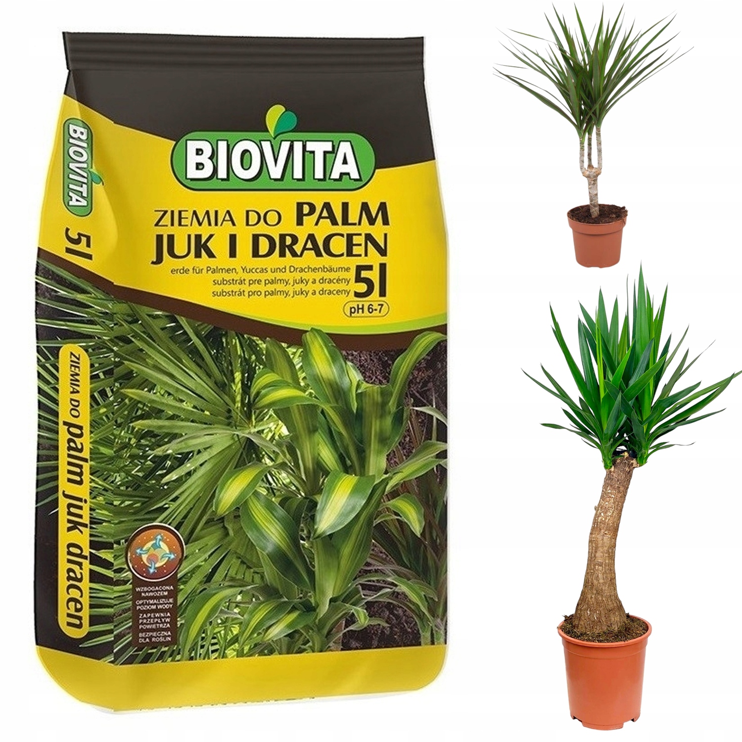 ZIEMIA PODŁOŻE PREMIUM DO ROŚLIN ZIELONYCH PALM JUK DRACEN MONSTERA FIKUS