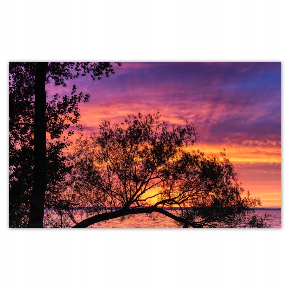 

Fototapety flizelina 520x318 Jezioro Drzewo Zachód