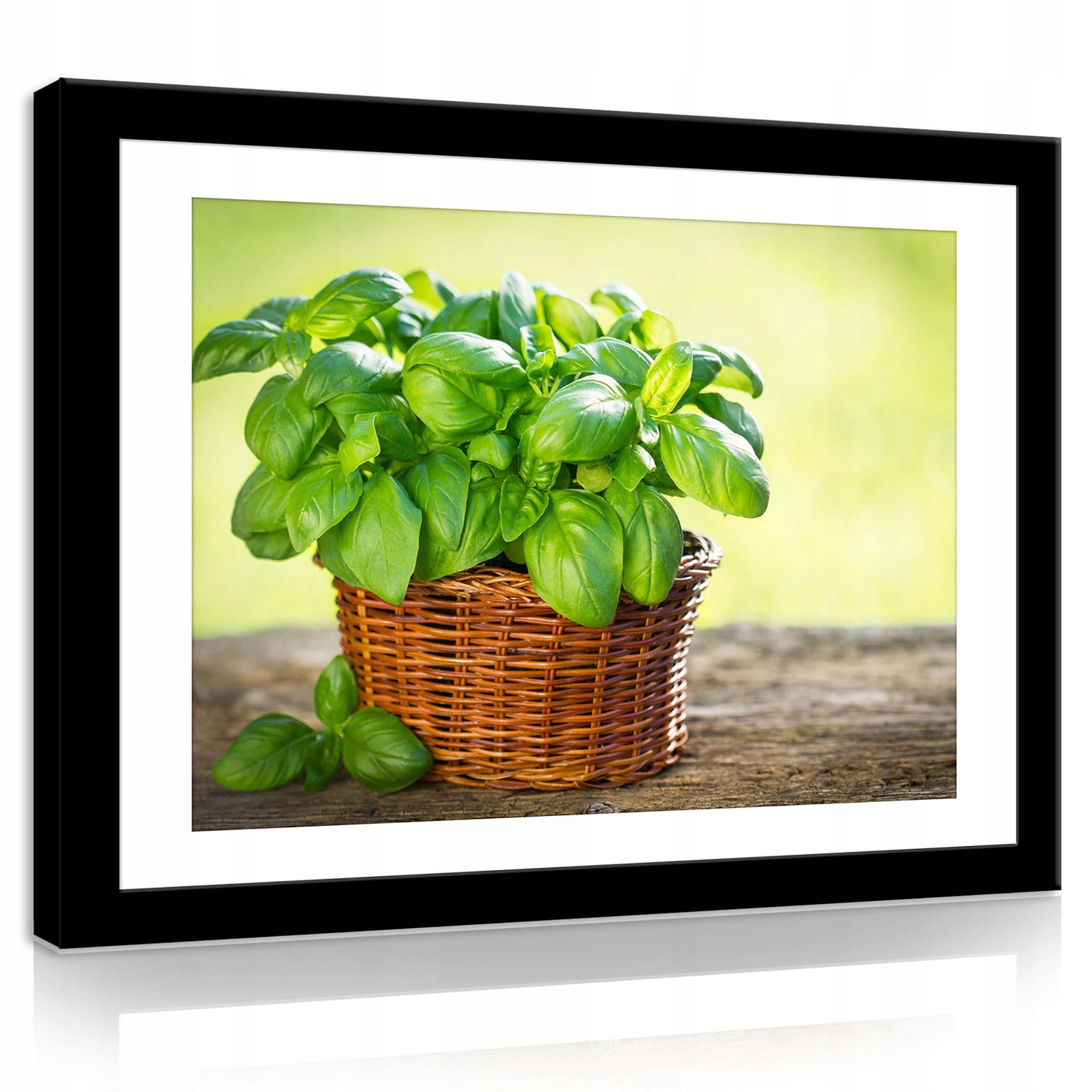 Obraz 80x60 Bazalka košík zeleň svěžest příroda mrtvé bylinky kuchyně léto