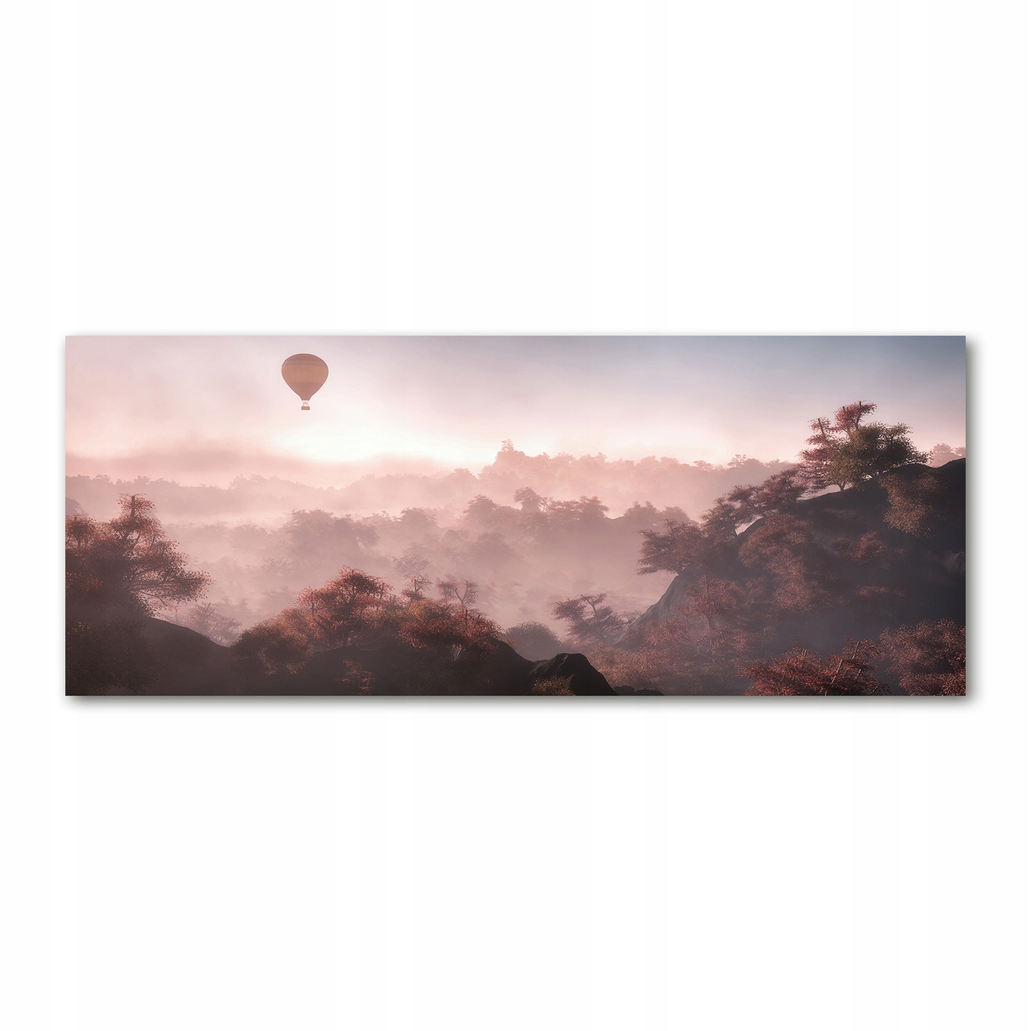 

Foto obraz akryl zdjęcie Balon nad lasem 125x50 cm