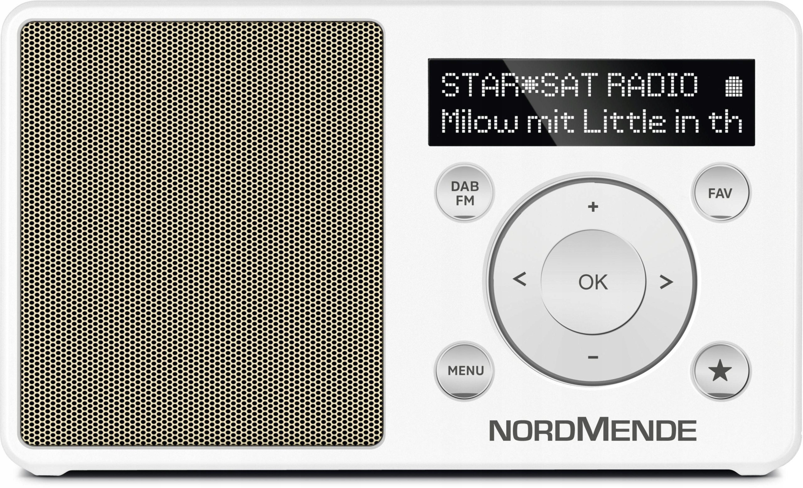 Rádio baterie Dab+, Fm TechniSat Transit 100
