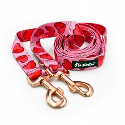 Dlouhá Vodítko pro psa Přepínací Lollipops Psiakrew 220 cm