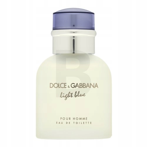 Dolce & Gabbana Light Blue Pour Homme toaletní voda pro muže 40 ml