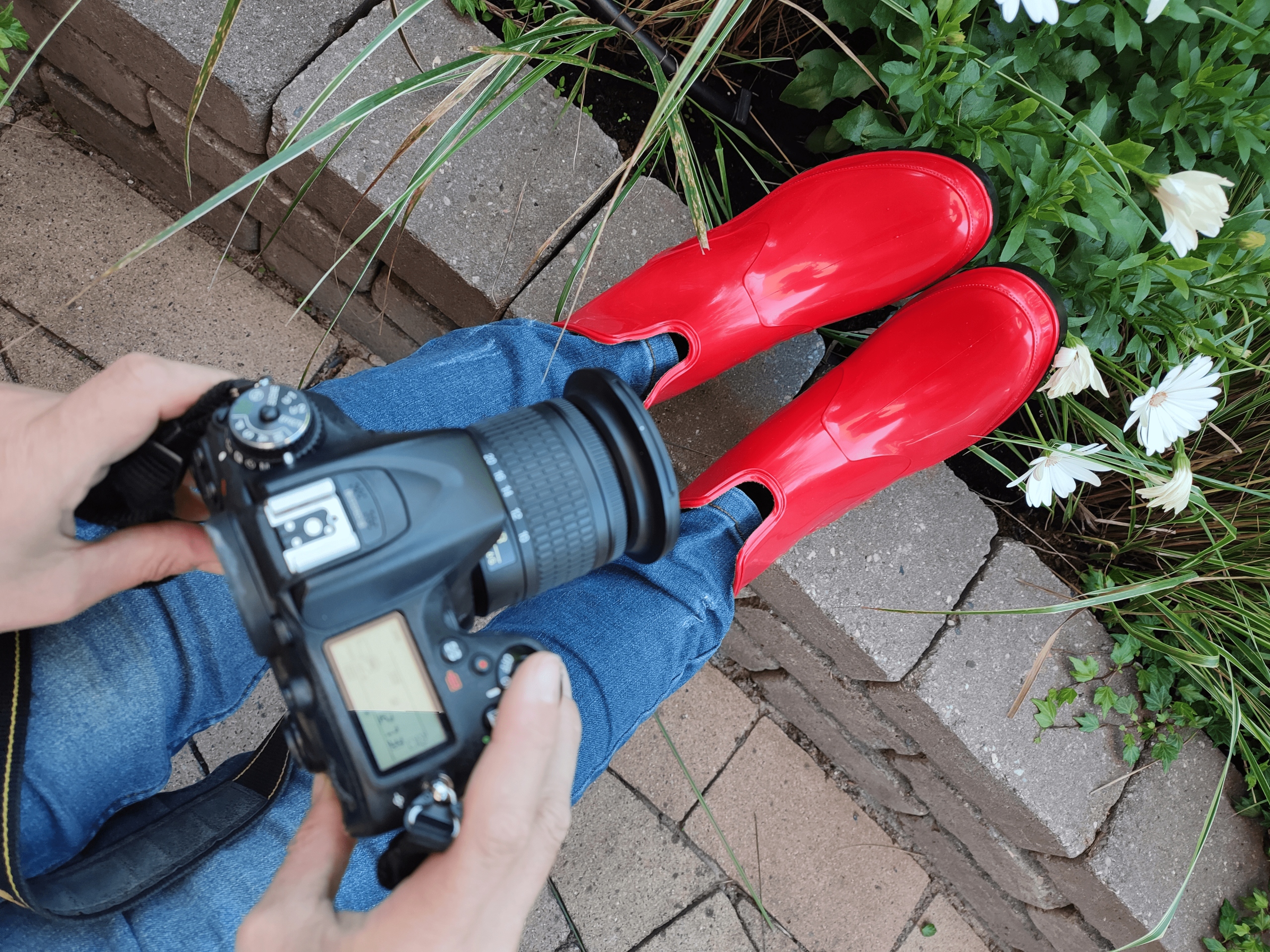 KALOSZE BOTKI DAMSKIE GUMOWCE KRÓTKIE ELKE 930/37 Kolekcja LEMIGO ELKE 930