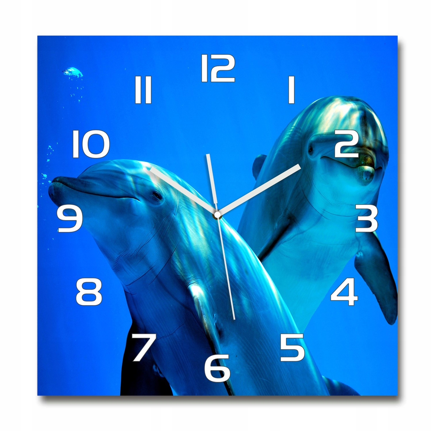 

Duży kwadratowy szklany zegar Dwa delfiny 60x60 cm