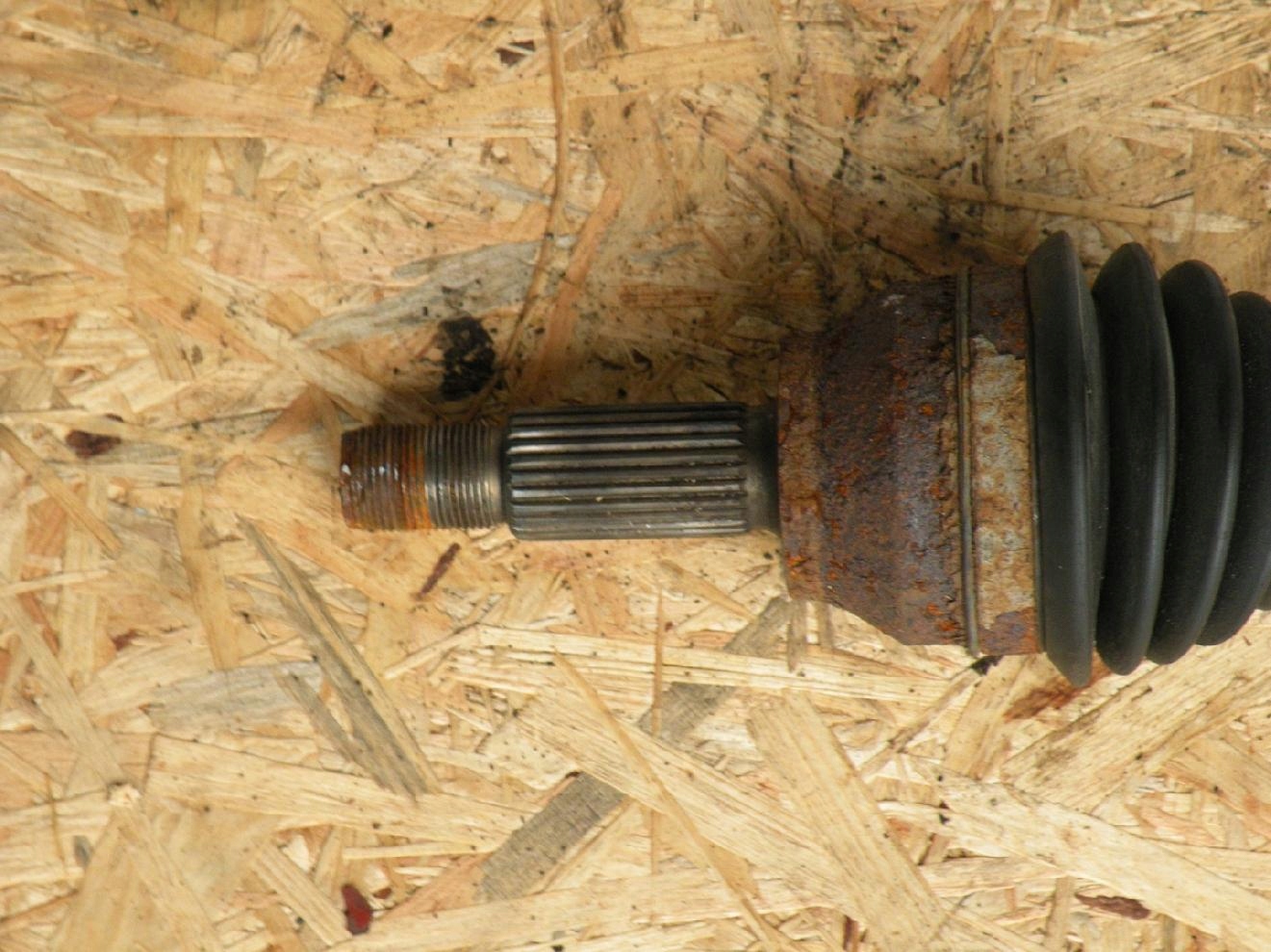 shock absorber FORD FIESTA front FORD