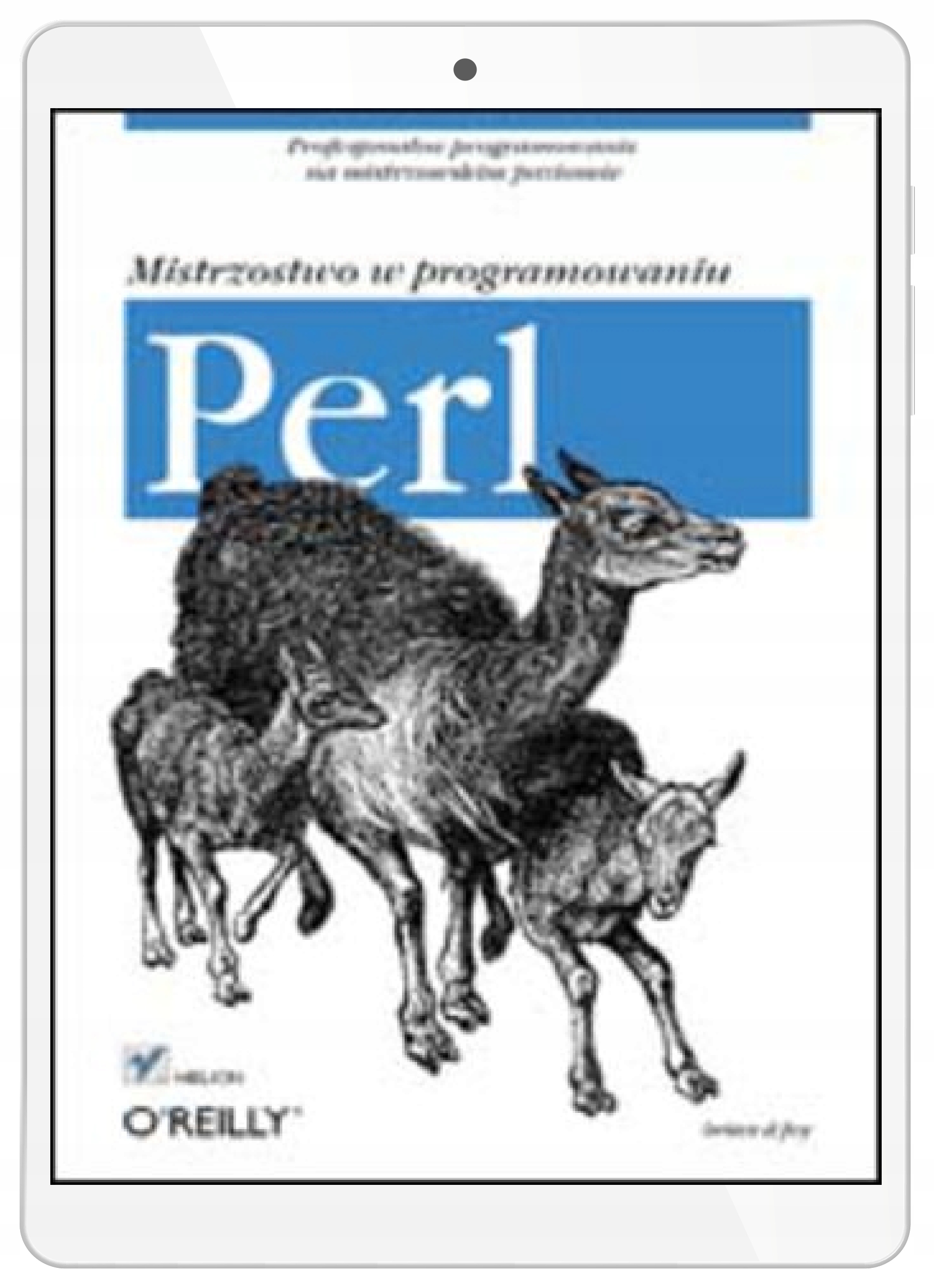 Perl. Mistrzostwo w programowaniu
