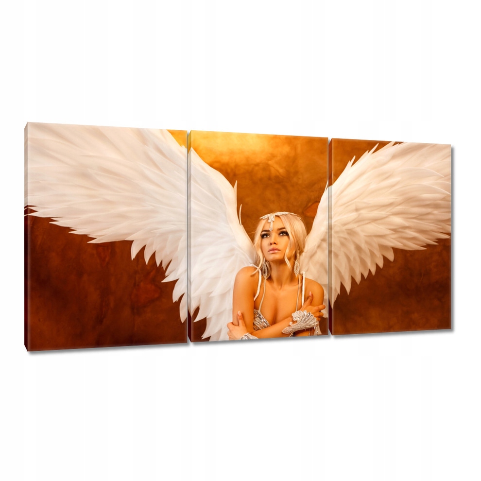 

Obrazy 120x60 Anioł kobieta