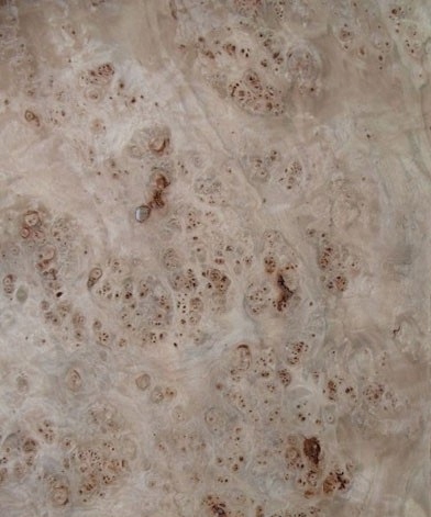 Fornir naturalny TOPOLA CZECZOT 136x41 - liść