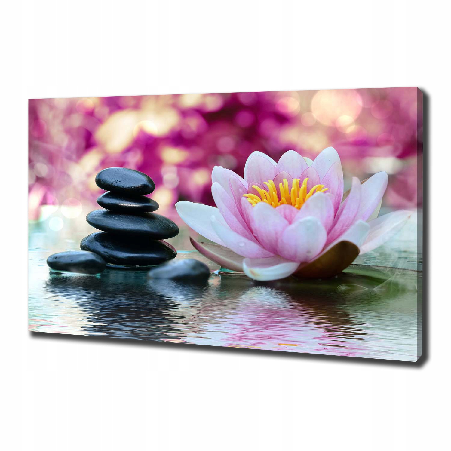 

Foto obraz canvas na ścianę Lilia wodna 100x70 cm