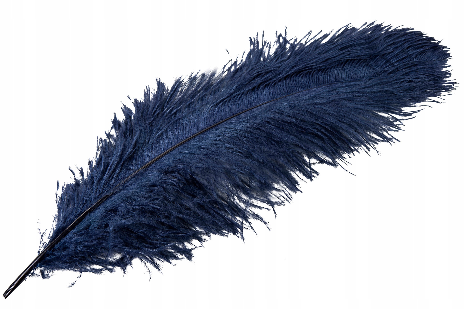 Dekorační Příběh Strusie tmavě modrý 60cm