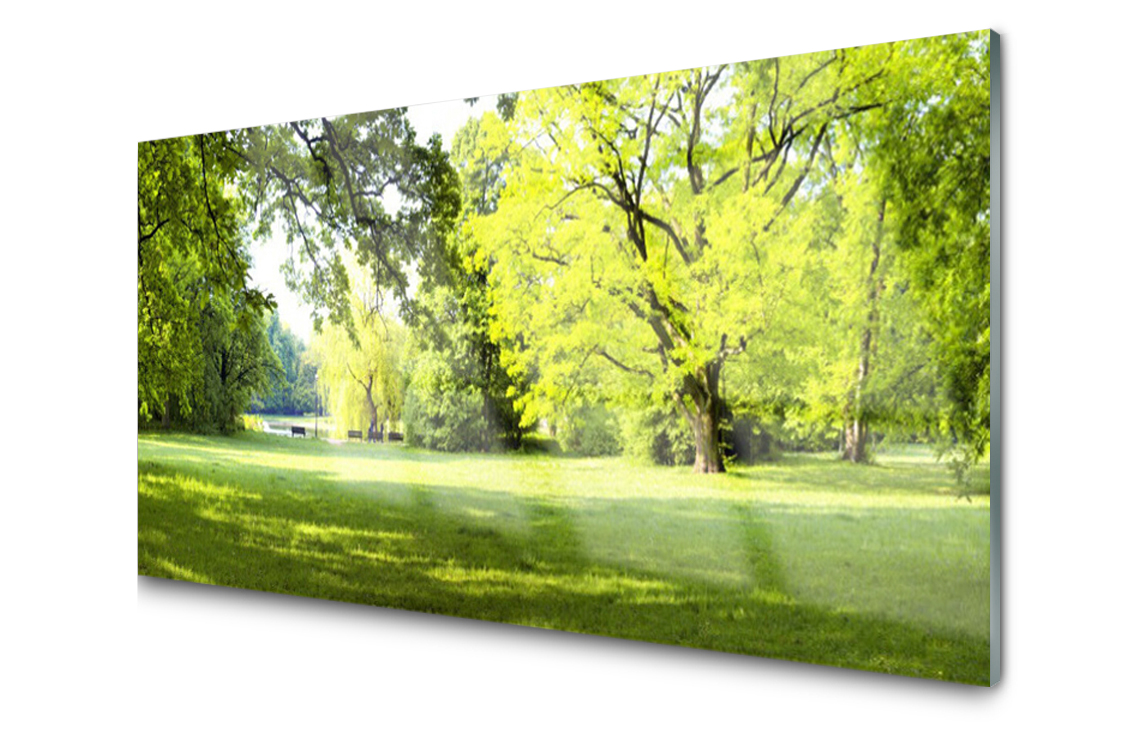 

Panel szklany Płytka Trawa Drzewa Park 120x60