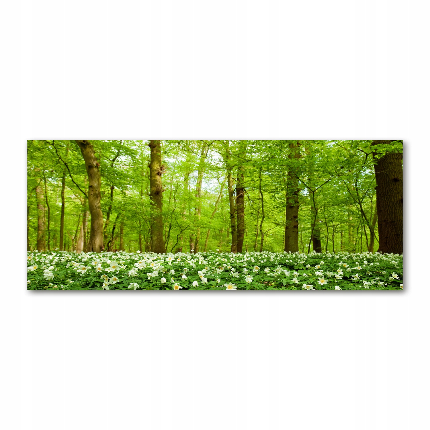 

Foto obraz akryl zdjęcie Kwiaty w lesie 125x50 cm