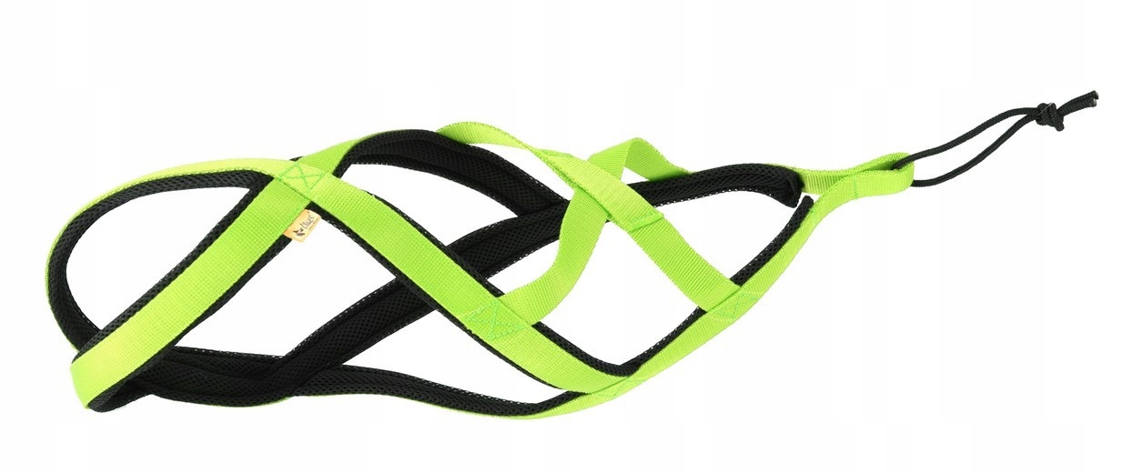 Dingo Szelki typu Sled do biegania z psem zielony L