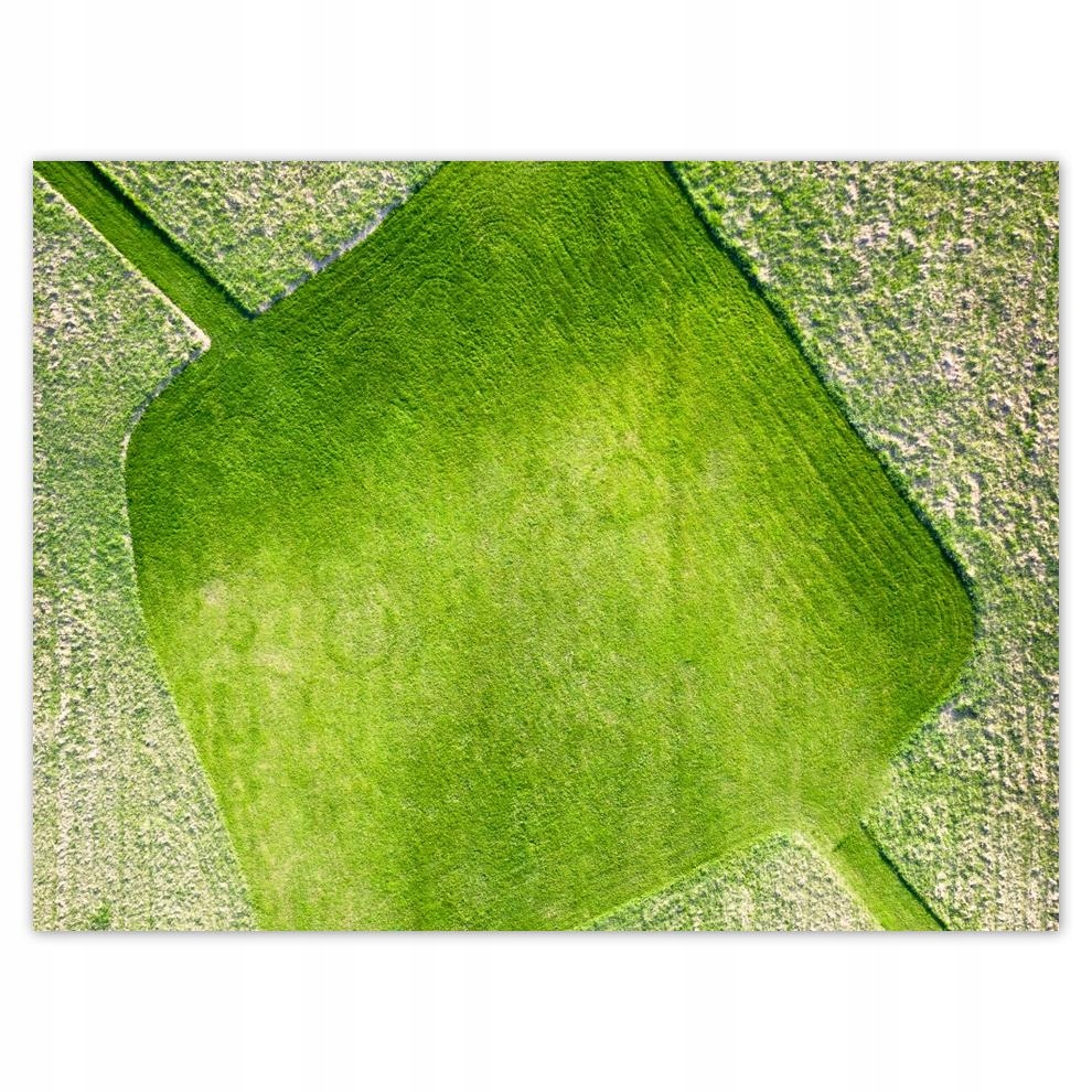 

Plakat 40x30 Trawa Pole Łąka Droga