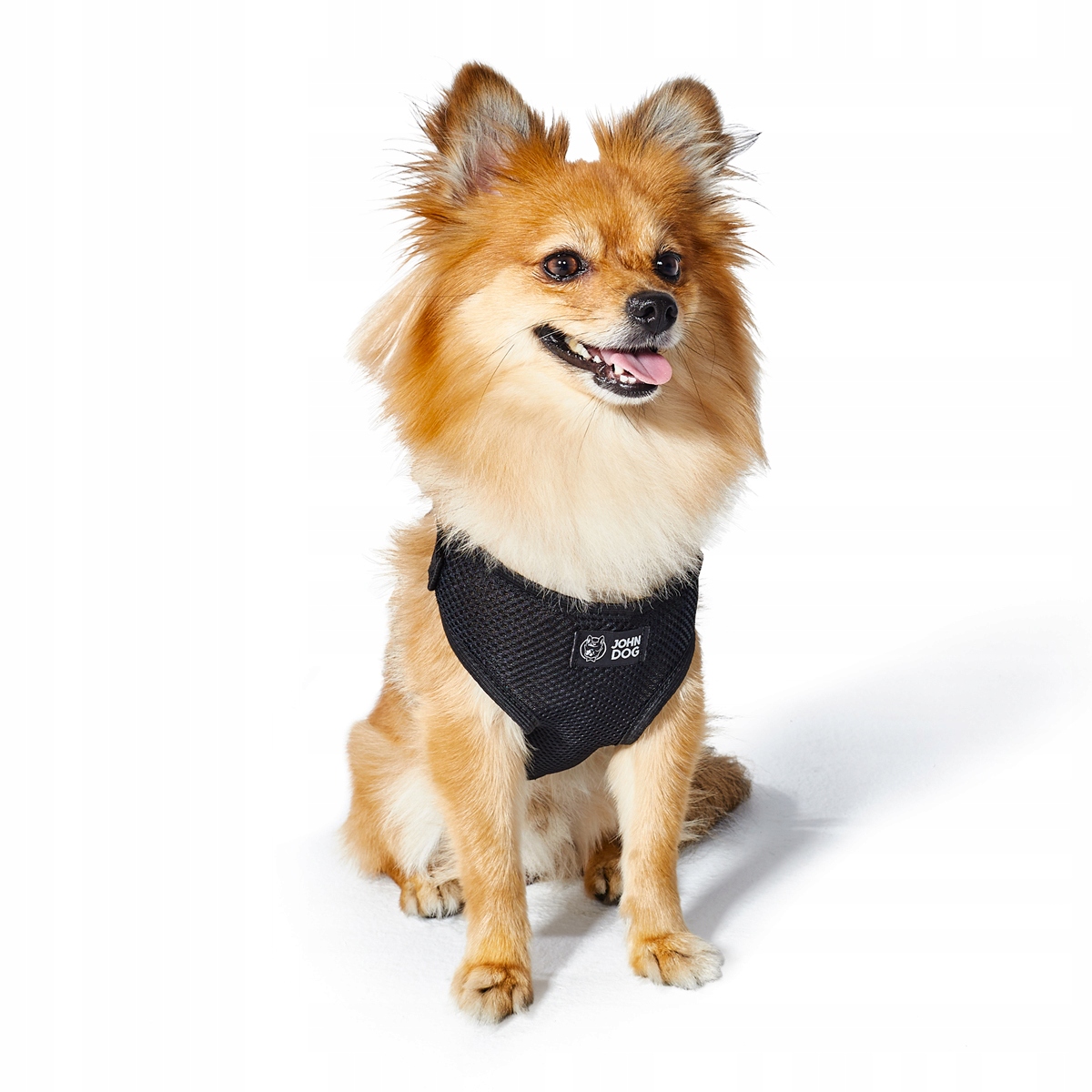 

John Dog Black szelki bezuciskowe czarny L