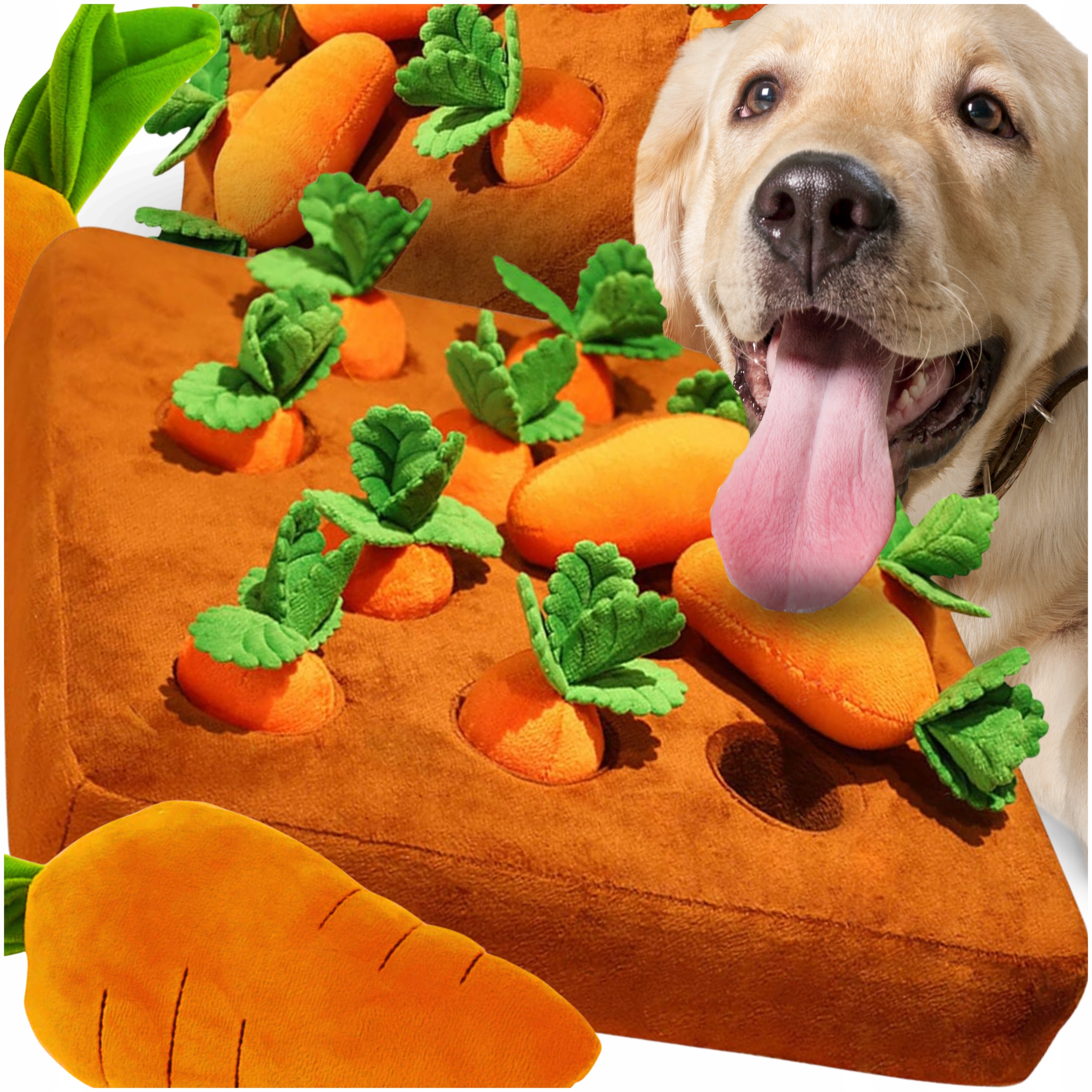 Levně Čichová Podložka Pro Psa Kočku Mrkve Vzdělávací Hračka Na Pochoutky
