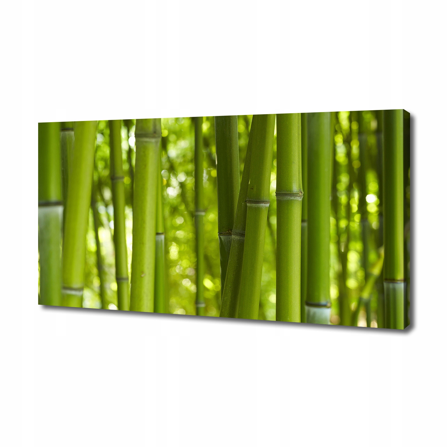 

Foto obraz duży canvas na ścianę Bambus 140x70 cm